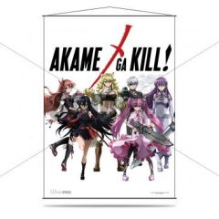 Akame Ga Kill Wall Scroll - Heroines
