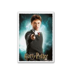 WB100 Matte Art - WizardingWorld - Harry Potter - Card Sleeves
